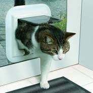 Cat flaps installed Darlington
